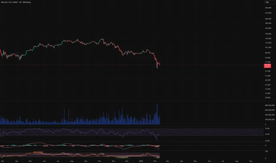 Dollarized Volume indicator preview